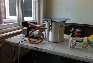 Shapeshifter's leaves