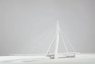Erasmus bridge
