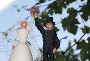 Wedding Cake Topper