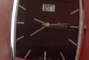 Replacement watch strap for Skagen 567LSLB